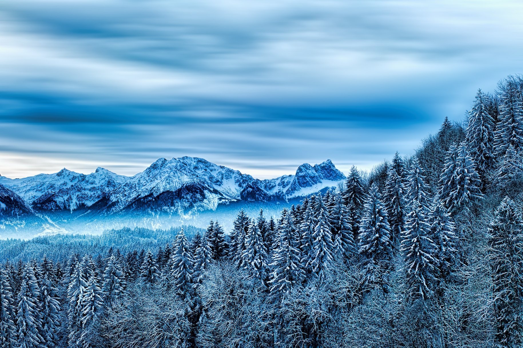 Winter Forest Mountain